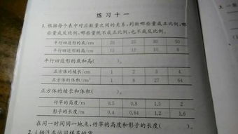 判斷是否成比例有哪些方法