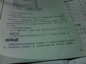 小學最常用的寫作方法有哪些