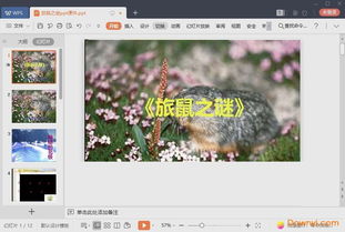 旅鼠之謎里有哪些說明方法