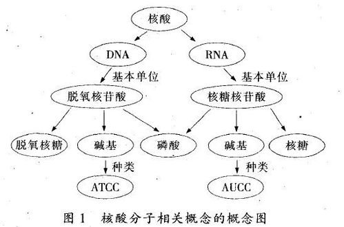 體育教學模式與方法有哪些