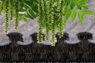 山園小梅描寫景物方法有哪些