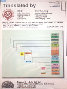 植物分類調(diào)查方法有哪些
