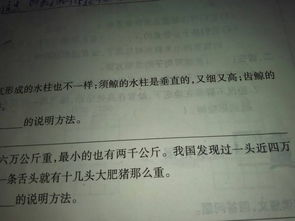 常用的九種說(shuō)明方法有哪些五級(jí)