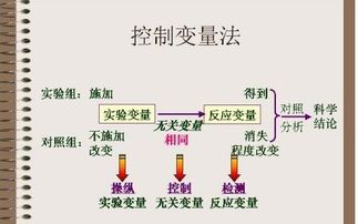 物理學(xué)中的實驗方法有哪些