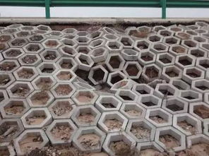 路基坡面防護的方法有哪些