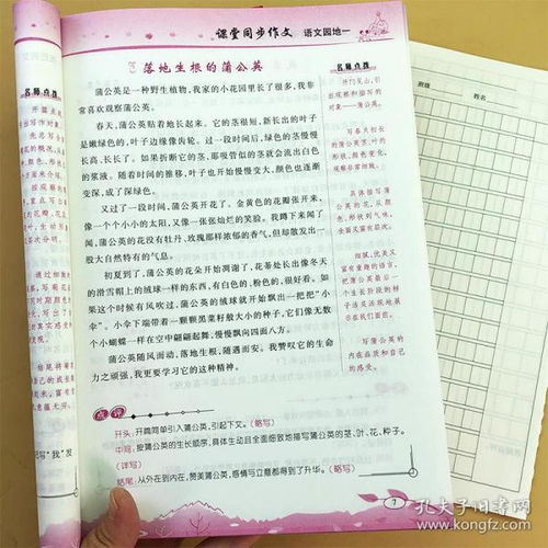 作文導(dǎo)入方法有哪些