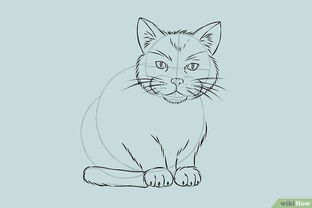 畫(huà)貓的方法有哪些