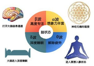 潛力的提升有哪些具體方法