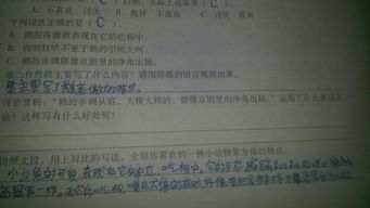 用說(shuō)明表達(dá)方法有哪些