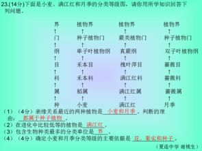 生物的歸類方法是什么分別有哪些