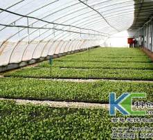 栽培基質(zhì)常采用哪些方法消毒