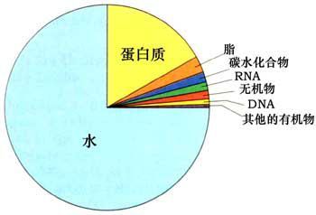 水的補量方法有哪些方法有哪些方法