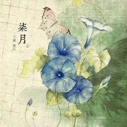 玫瑰的浪漫古詩(shī)句