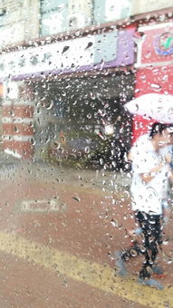 詩句,描寫,詩中,下雨