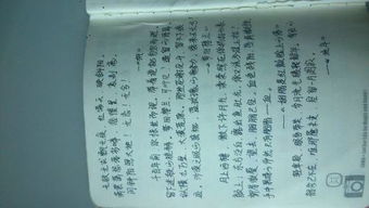 含有竹馬的詩(shī)句古詩(shī)