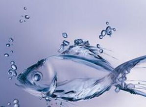 關(guān)于的愛情詩句英文版