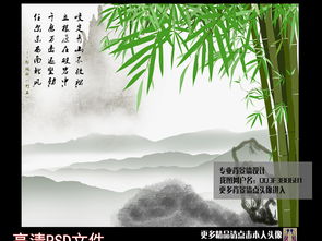 竹子和石頭的詩句,贊美竹子和石頭的詩句,描寫竹子石頭的詩句