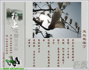 詩句,友人,相見