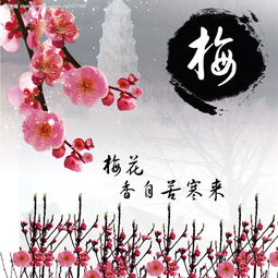 關(guān)于梅花的詩(shī)句連續(xù)的兩句