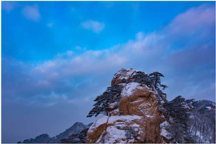 關(guān)于初雪的原創(chuàng)詩(shī)句