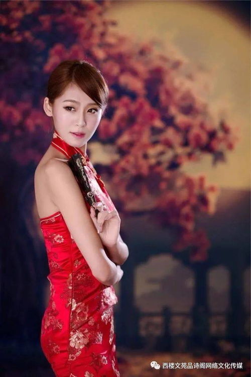 關(guān)于中秋的五絕詩(shī)句