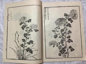 關(guān)于梅竹蘭菊的古詩句