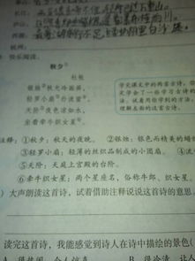 贊美泰山廬山長江西湖的詩句古詩