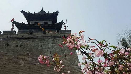 關(guān)于孟浩然春天的詩(shī)句