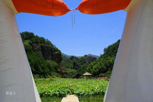 帶陌且關(guān)于愛情的詩句