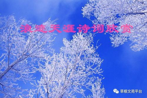 關(guān)于浪跡天涯唯美詩(shī)句