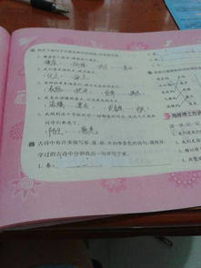 關(guān)于春夏秋冬的詩(shī)句各10句,朝代,有關(guān)春夏秋冬的詩(shī)句各10句,春夏秋冬的詩(shī)句各10首