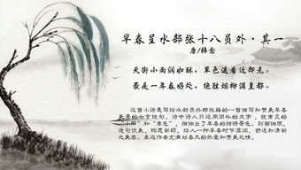 詩句,抒情,春天,大全