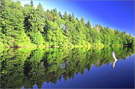 描寫水中倒影的詩句古詩