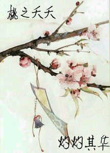 詩經(jīng)中關于愛情的詩句小學生