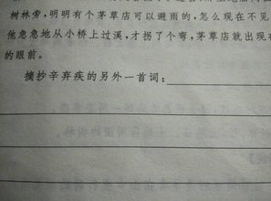 帶有四字的詩(shī)句有哪些,含有四字的詩(shī)句,四字詩(shī)句古風(fēng)