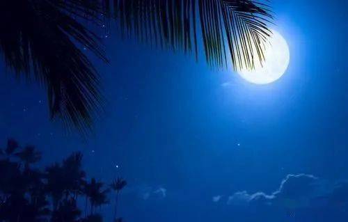 月亮思鄉(xiāng)的詩句,月亮代表思想的詩句,描寫月亮的思想詩句