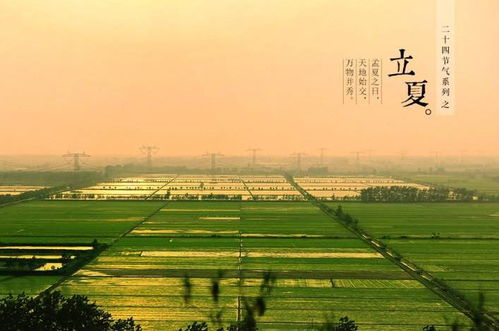 立夏,詩句,美景