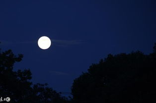 關(guān)于望月了的詩句