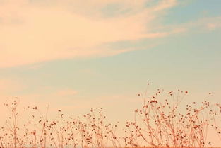 關(guān)于不放棄詩(shī)句