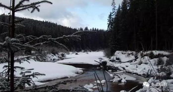 鄉(xiāng)思,之情,古詩,詩句