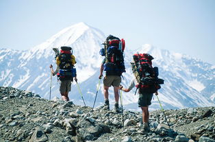 登山揮汗的古詩句