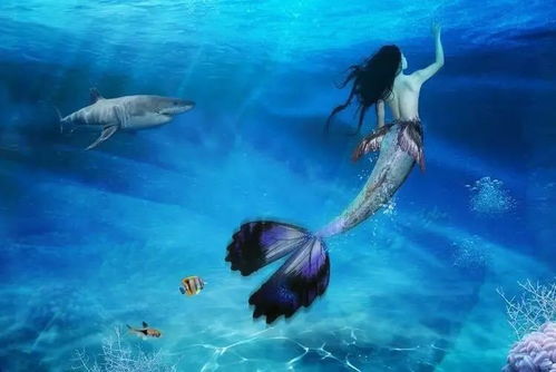 一首關(guān)于美人魚的詩句