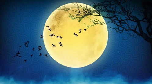 月球,古詩,詩句,描寫