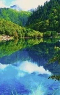 關(guān)于浙江美景的詩句