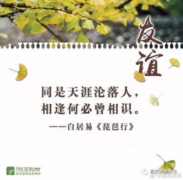 關(guān)于友誼的詩句