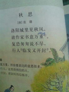 關(guān)于秋天思鄉(xiāng)的詩句古詩,寫秋天思鄉(xiāng)的詩句,形容秋天思鄉(xiāng)的詩句