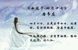 關(guān)于寫(xiě)夢(mèng)的相思詩(shī)句