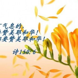 關(guān)于贊頌草的詩句