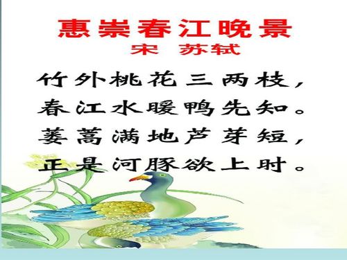 描寫夏天古詩景色詩句二級(jí)