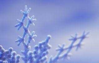 關(guān)于天使的英文唯美詩句